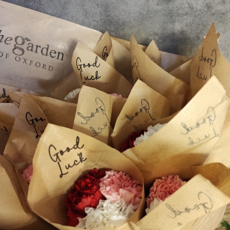 Set of three Oxford University Exam Carnations