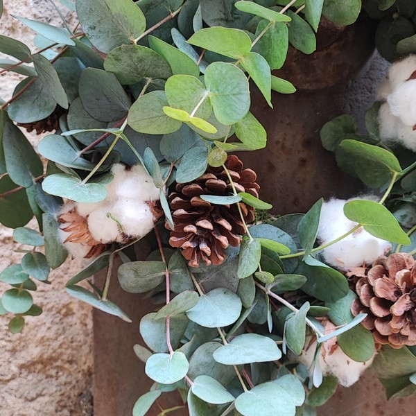 Eucalyptus Door Wreath