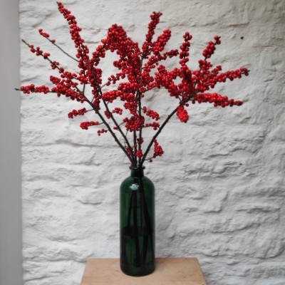 Berry Red available from 24th November