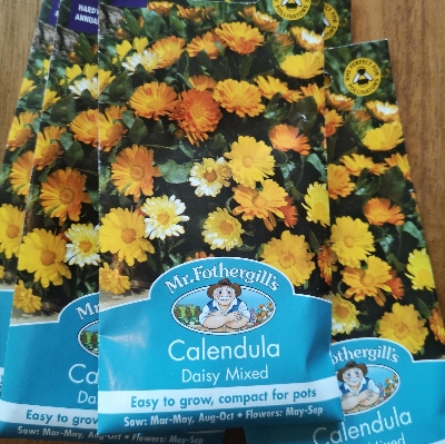 Calendula  Daisy Mixed