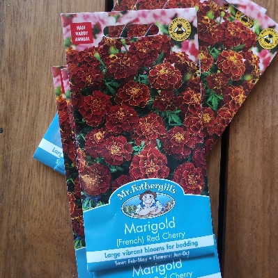 Marigold (French) Red Cherry