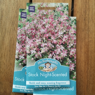 Stock Night  Scented