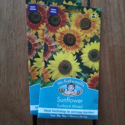 Sunflower Sunburst Mixed