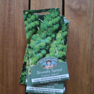 Brussels Sprout Evesham Special