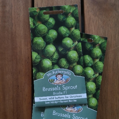 Brussel Sprout Brodie F1