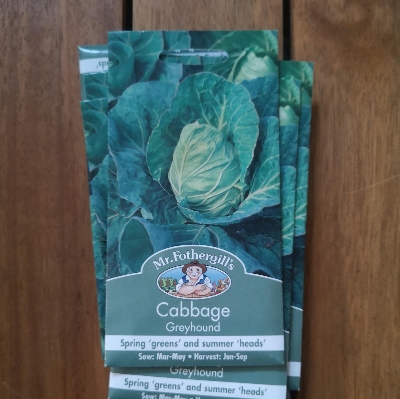 Cabbage Gteyhound