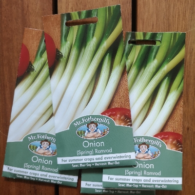 Onion (Spring) Ramrod