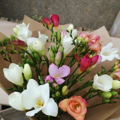 Freesia Bouquet