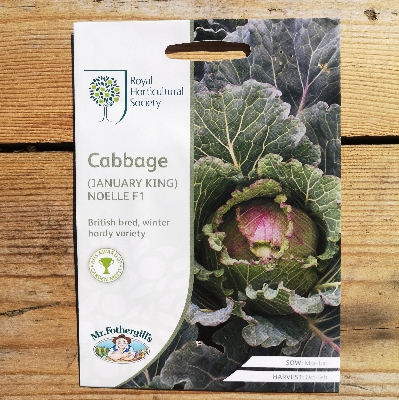 RHS Cabbage (January King) Noelle F1