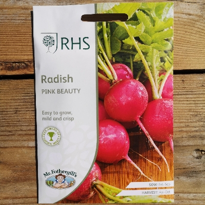 RHS Radish Pink Beauty
