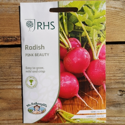 RHS Radish Rudi