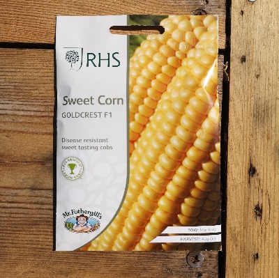 RHS Sweet Corn Goldcrest F1