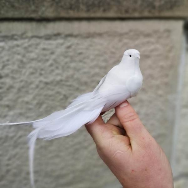 White Dove