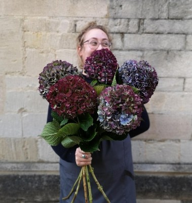 Hydrangea Bouquet available from 4th September