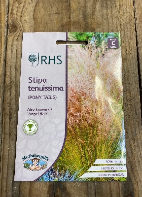 RHS Stipa tenuissima (Pony Tails)