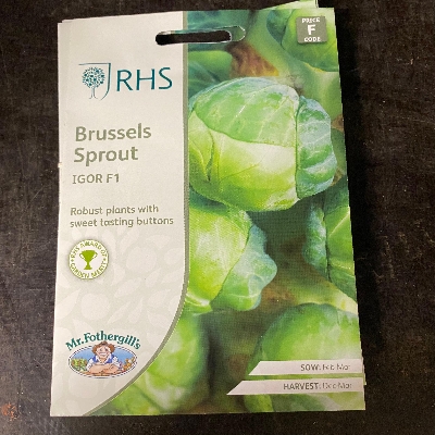 RHS Brussels Sprout Igor F1