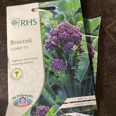 RHS Broccoli (Sprouting) Claret F1