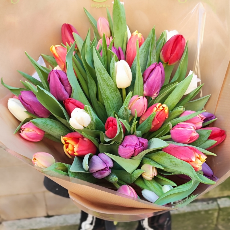 Mixed Tulip Vase Arrangement