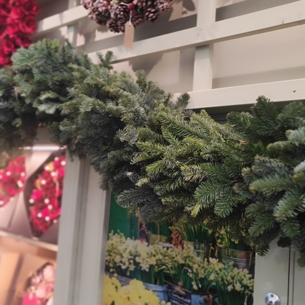 Pine Garland langths (Mondays only)