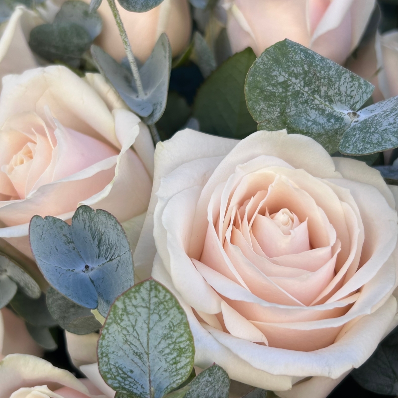 Pink Dorchester Rose Bouquet