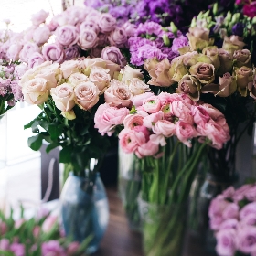Bouquets and Arrangements