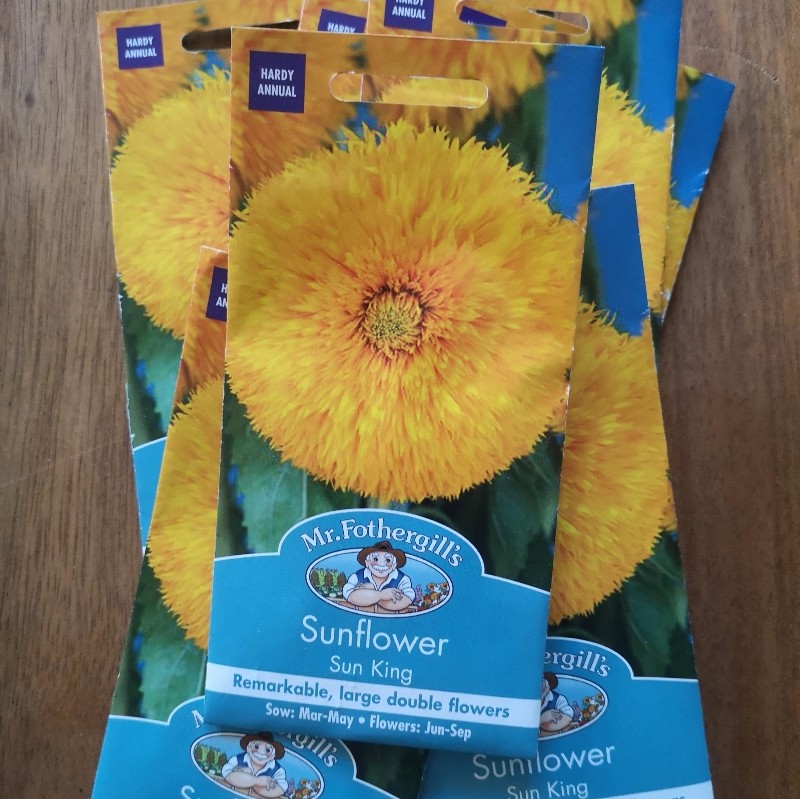 Sunflower Sun King Buy Online Or Call Sunflower Sun King Buy Online Or Call
