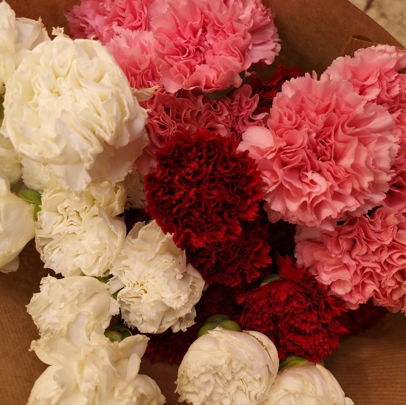 Oxford University Exam Carnations – buy online or call 01865 240709
