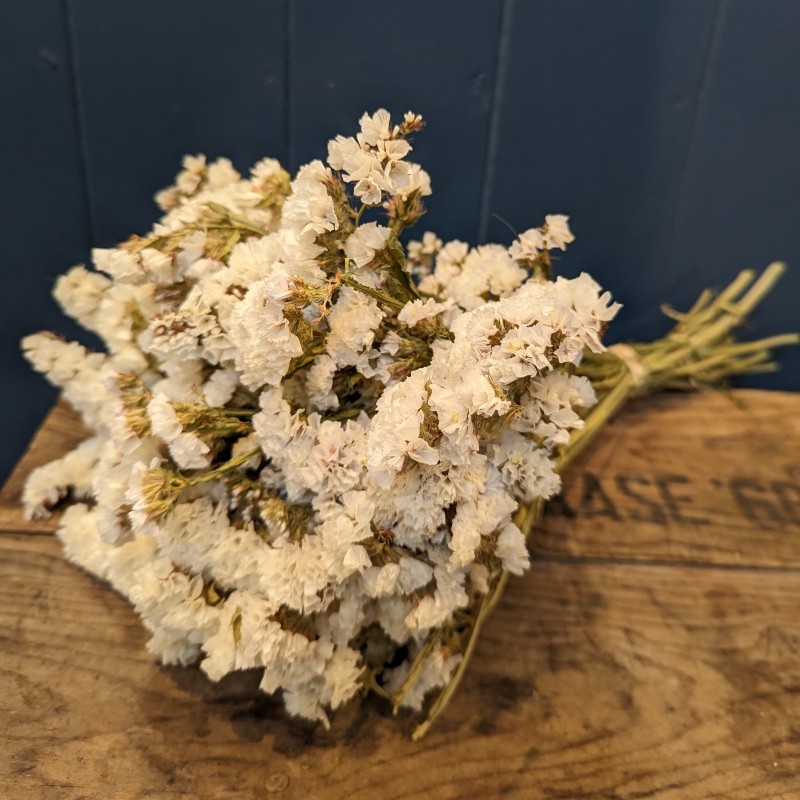 Dried Statice White buy online or call 01865 240709