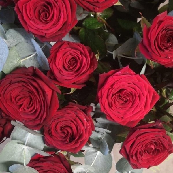 18 red rose and eycalyptus bouquet payment for Gena
