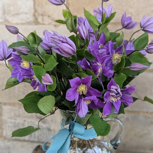 Clematis Jug