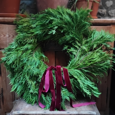 Cupressus Wreath