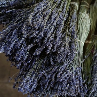 Dried Lavender Bouquet