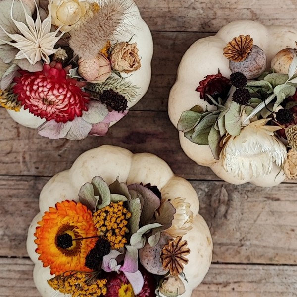 Mini Pumpkin Trio