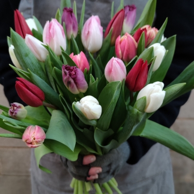 Mixed Tulip Bouquet