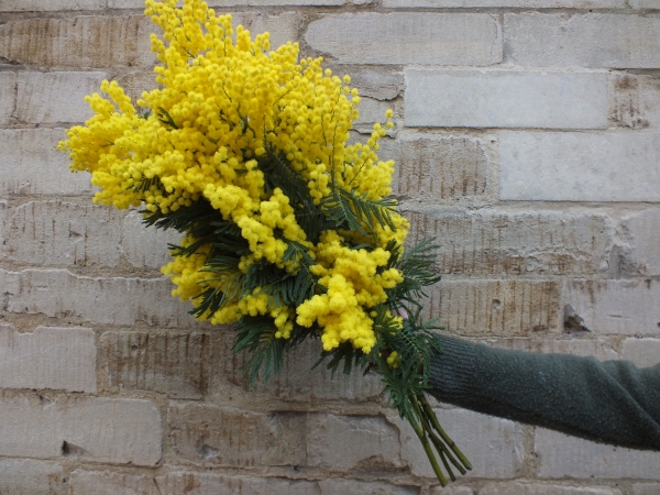 Monthly wrap of seasonal flowers for Luke