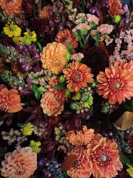 Payment link for Jessica