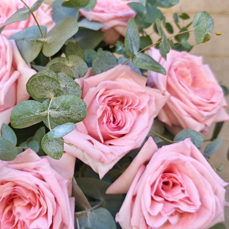 Pink Ohara Rose Bouquet available form 15th August