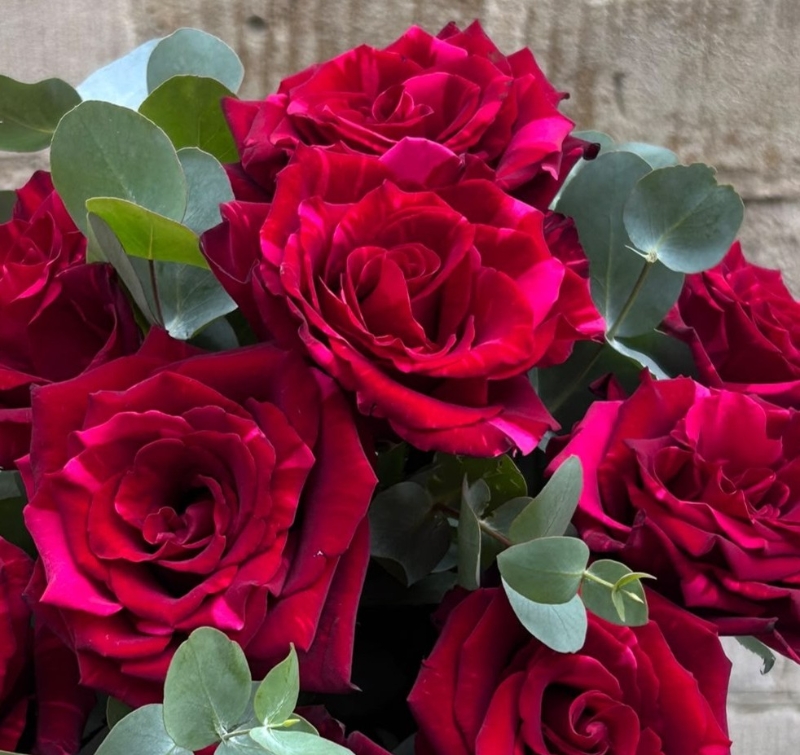 Red Panther Rose Bouquet available from 15th August