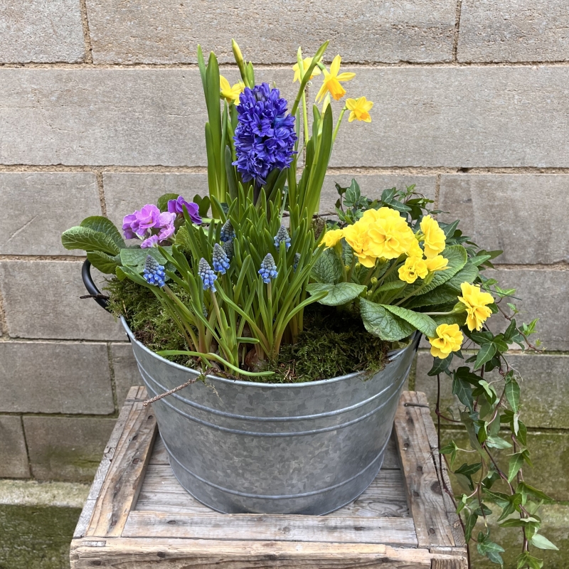 Round Mother's Day Planter