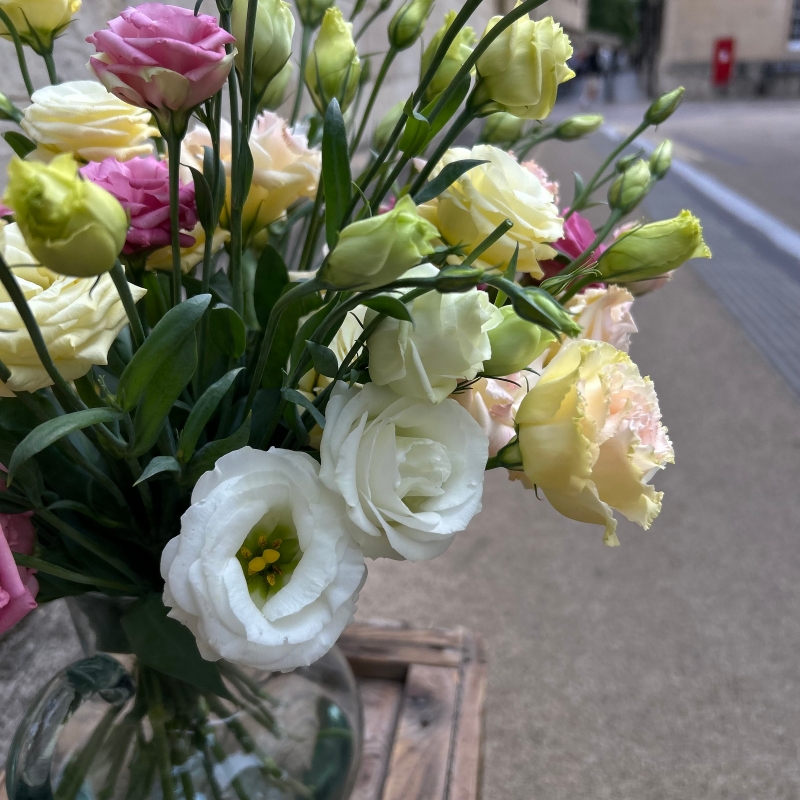 The English Lisianthus Jug