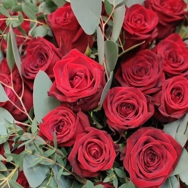 Red Naomi Roses (available from 7th November)