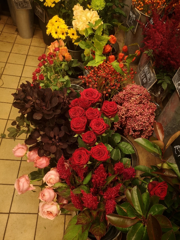 Bouquets for Bampton Opera