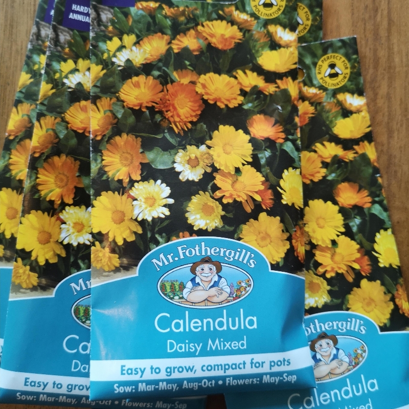Calendula  Daisy Mixed