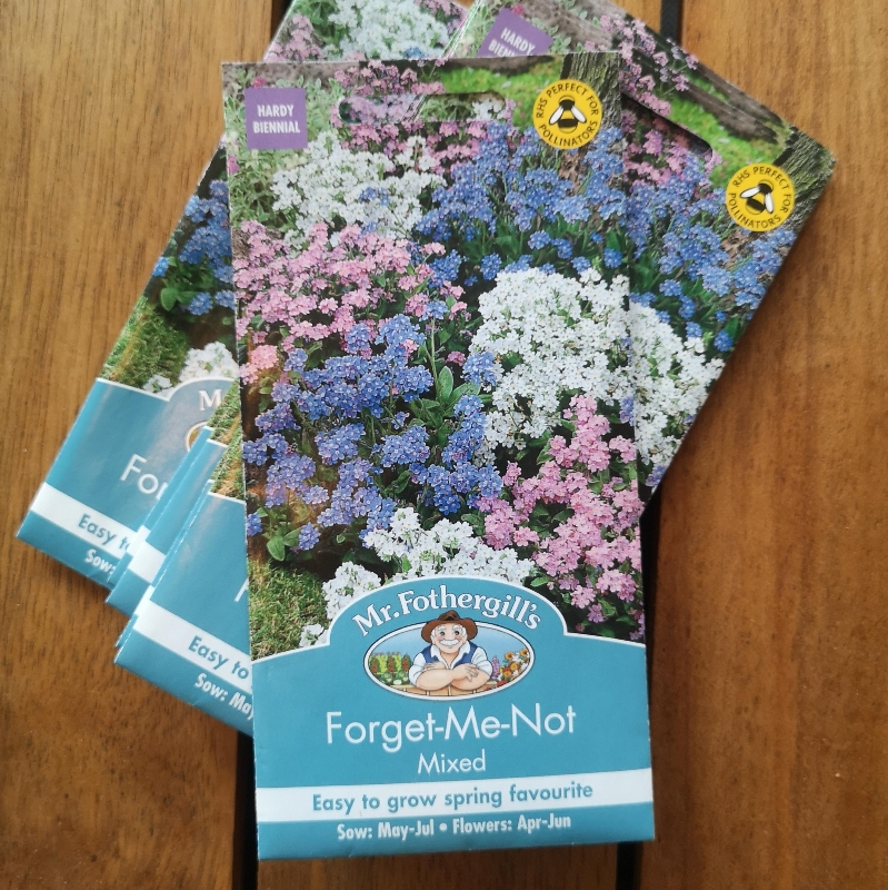 Forget Me Not  Mixed
