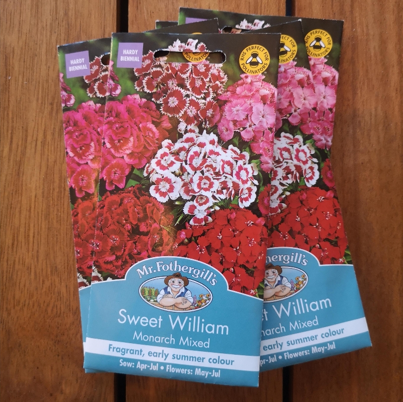 Sweet William Monarch Mixed
