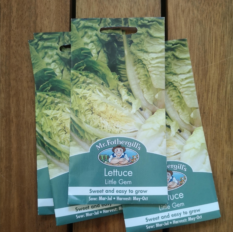 Lettuce Little Gem