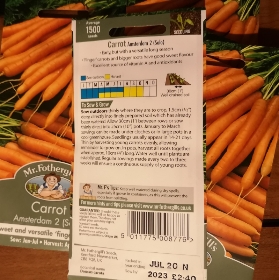 Carrot Amsterdam 2 (Solo)