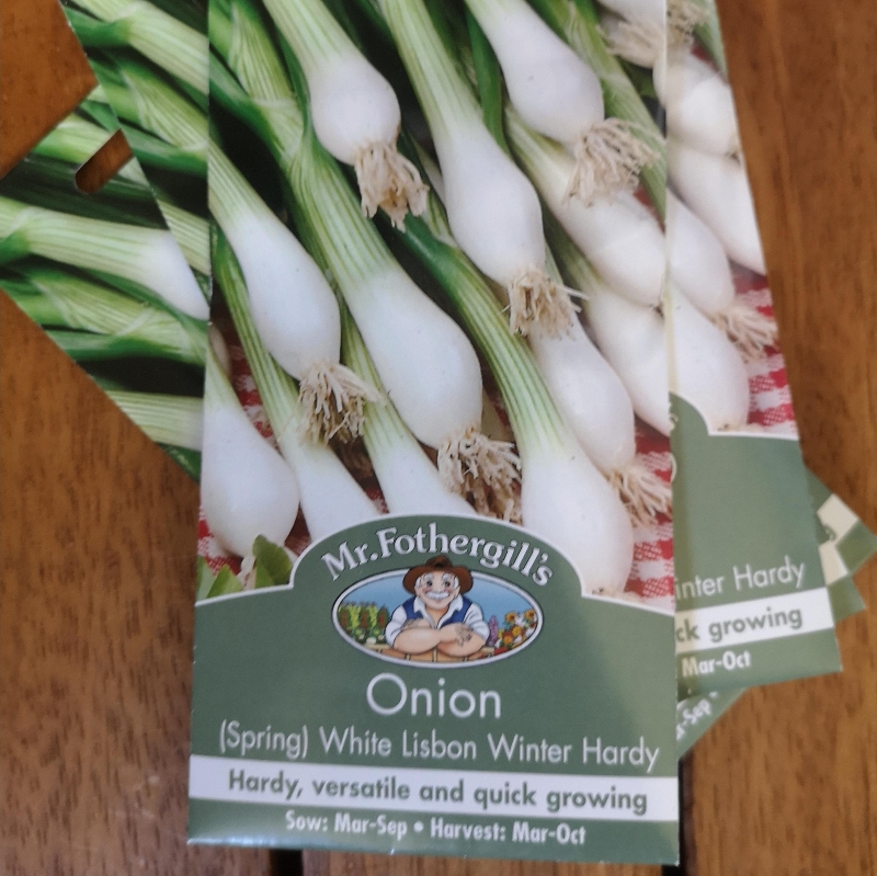 Onion (Spring) White Lisbon Winter Hardy