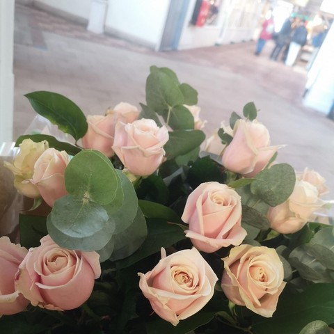 Pink Roses and Foliage