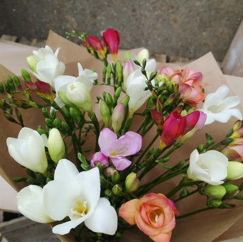Freesia Bouquet
